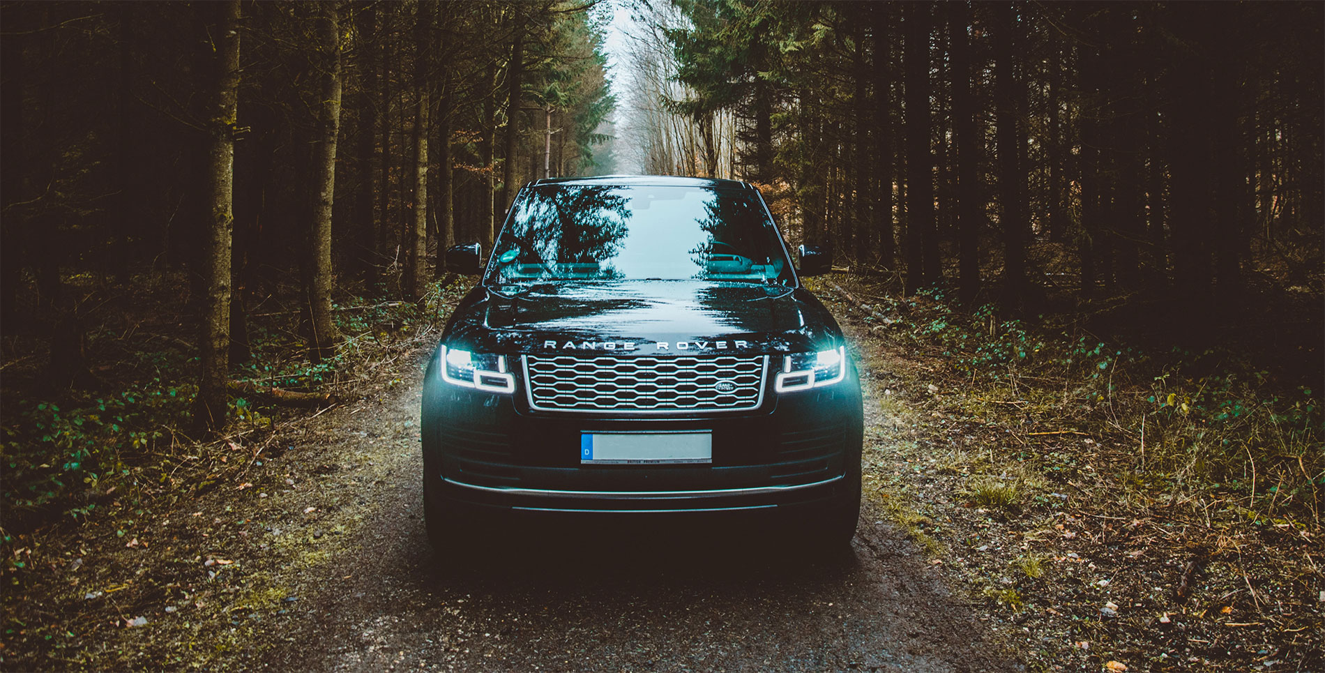 Private driver with a premium car